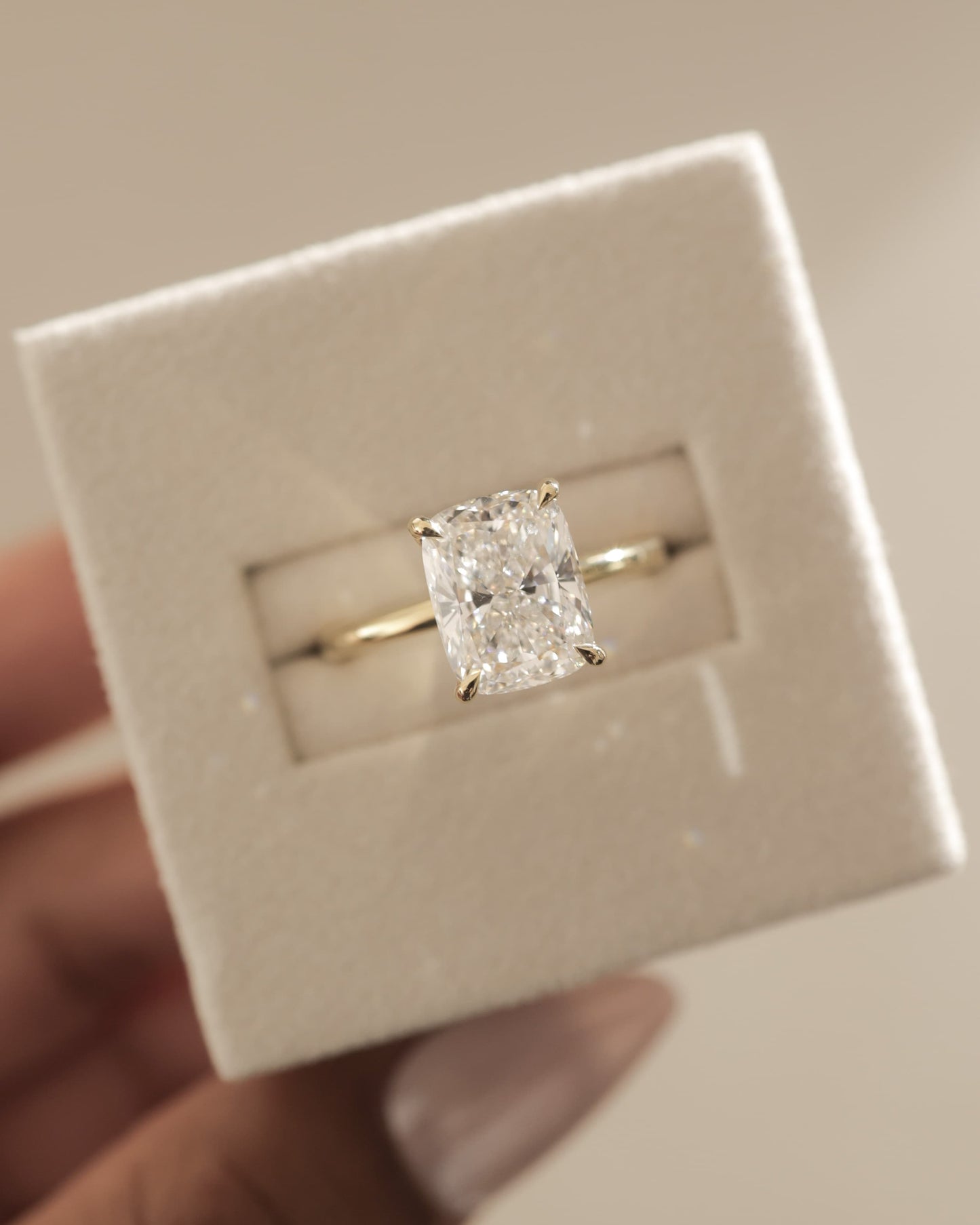 Leonora - Elongated Cushion Claw Solitaire Engagement Ring - Platinum