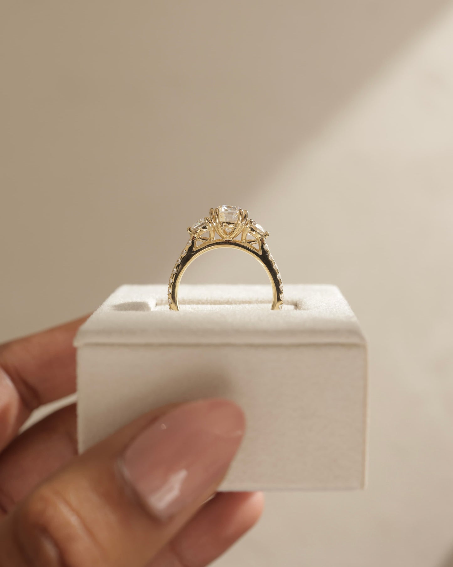 Meghan - Elongated Cushion Double Claw Trilogy with Round Side Stones, Pave Band and Cathedral Setting Engagement Ring - Platinum