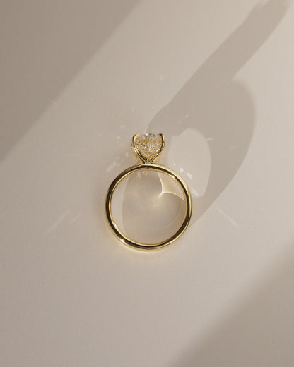 Bronte - Oval Claw Solitaire with Cigar Band and Hidden Halo Engagement Ring - White Gold