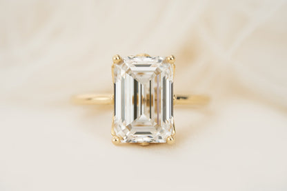 new-leaf-1363892-5-96-ct