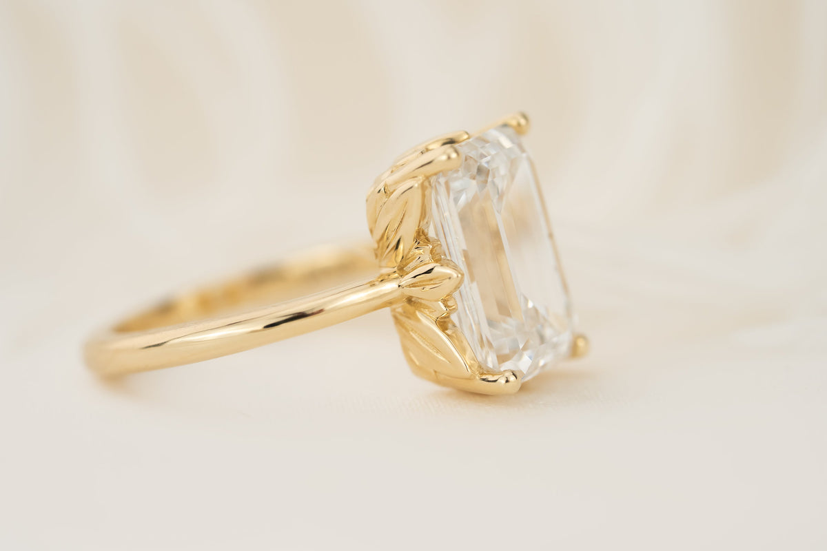 new-leaf-1363892-5-96-ct