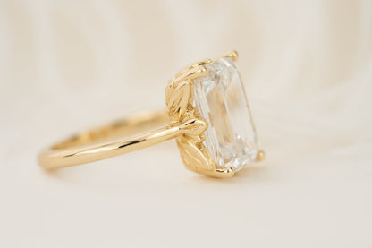 new-leaf-1363892-5-96-ct