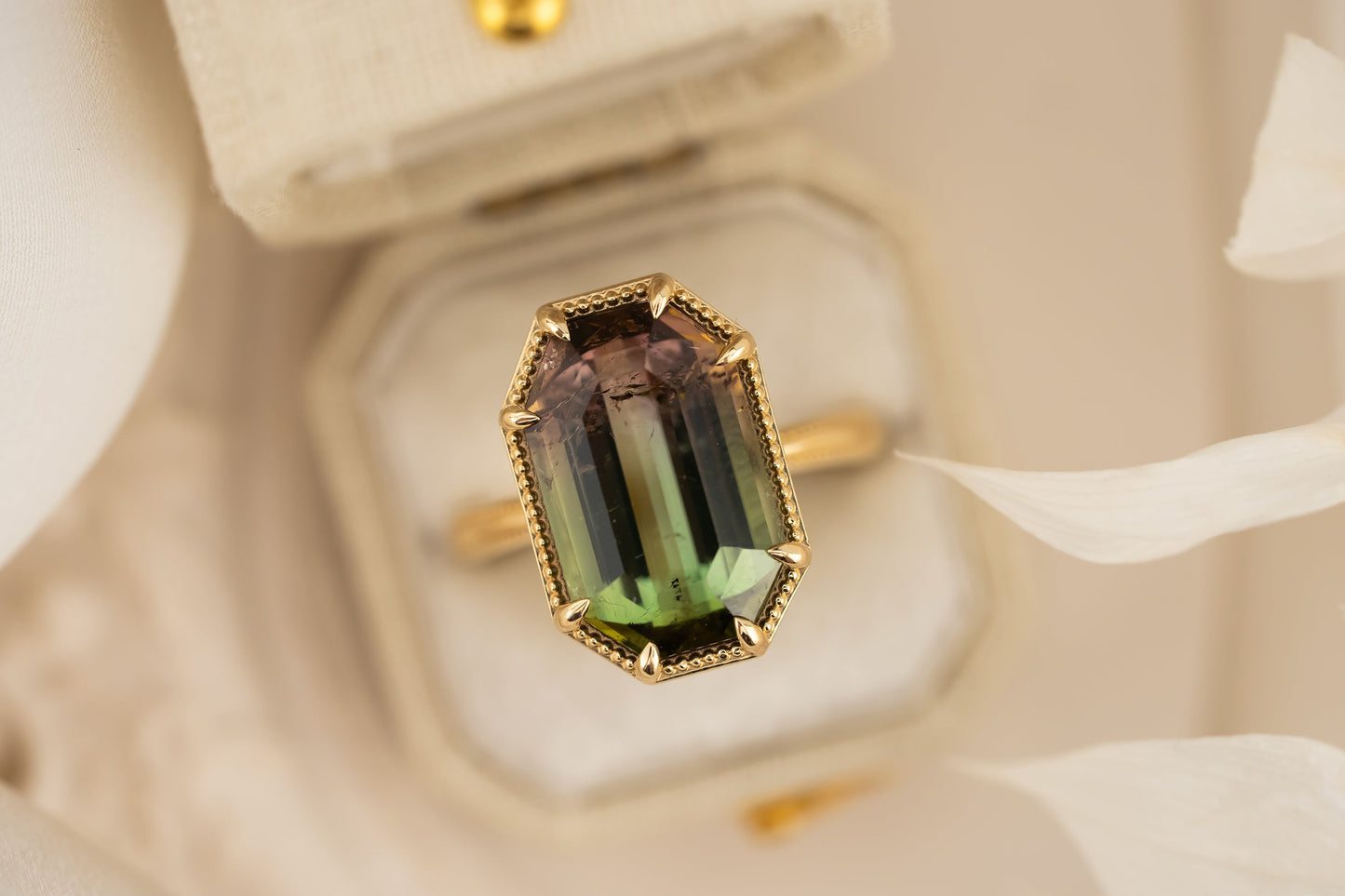 The Apate Ring | 8.46 CT Emerald Cut Watermelon Tourmaline